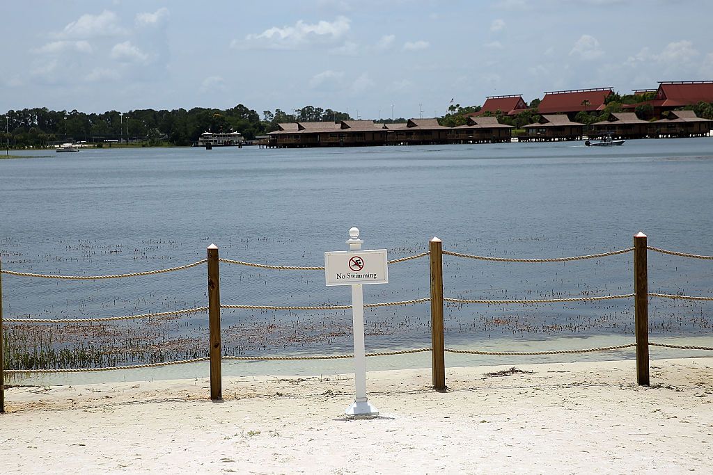 Along the Seven Seas Lagoon on June 18, 2016 (Getty Images)